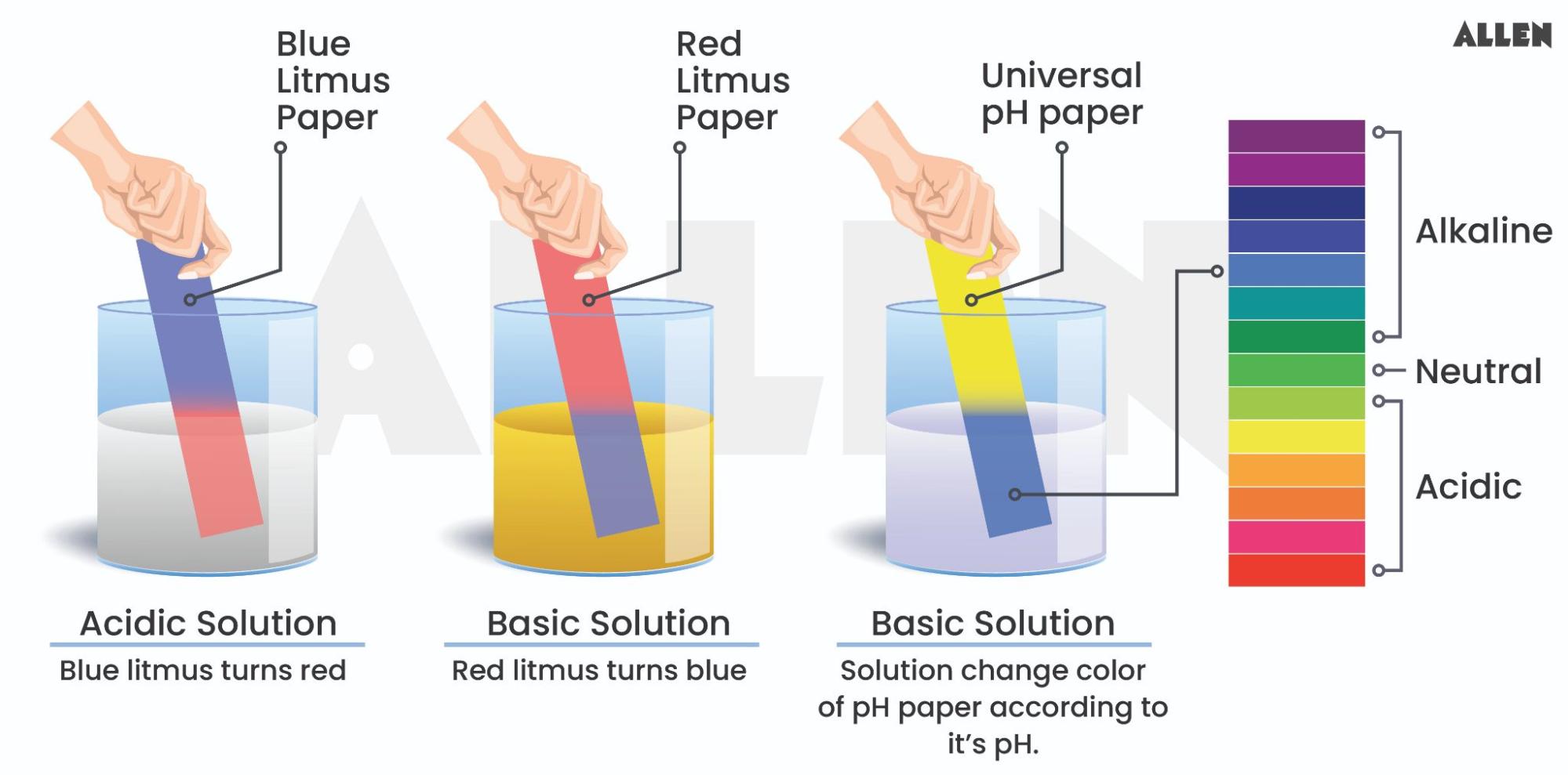 Acids Bases and Salts Properties, Difference and Common Example.